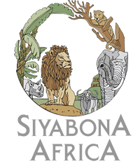 http://sabisabi.krugerpark.co.za
